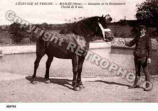 Ville de MALE, carte postale ancienne