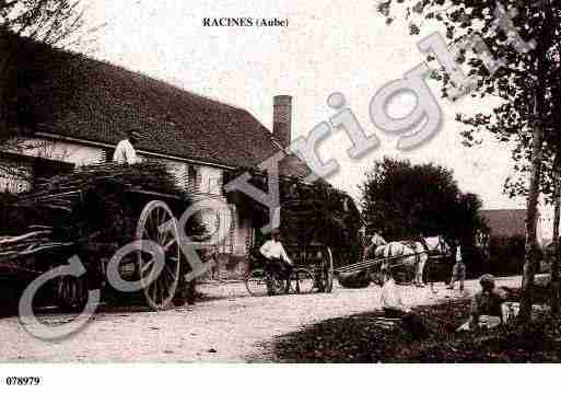 Ville de RACINES, carte postale ancienne