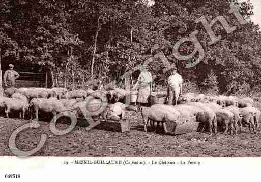 Ville de MESNILGUILLAUME(LE), carte postale ancienne