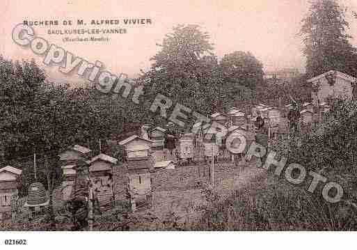 Ville de SAULXURESLESVANNES, carte postale ancienne