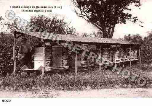 Ville de QUINCAMPOIX, carte postale ancienne