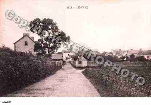 Ville de ILED'ARZ, carte postale ancienne