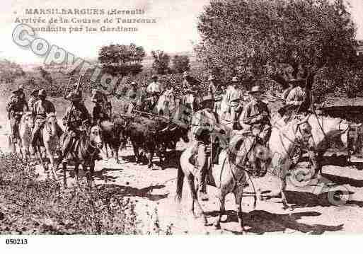 Ville de MARSILLARGUES, carte postale ancienne