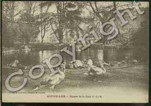 Ville de MONTPELLIER Carte postale ancienne