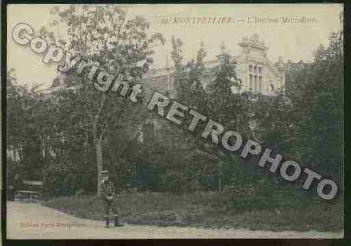 Ville de MONTPELLIER Carte postale ancienne