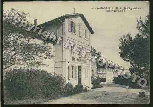 Ville de MONTPELLIER Carte postale ancienne