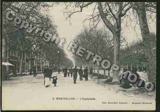 Ville de MONTPELLIER Carte postale ancienne