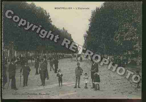 Ville de MONTPELLIER Carte postale ancienne