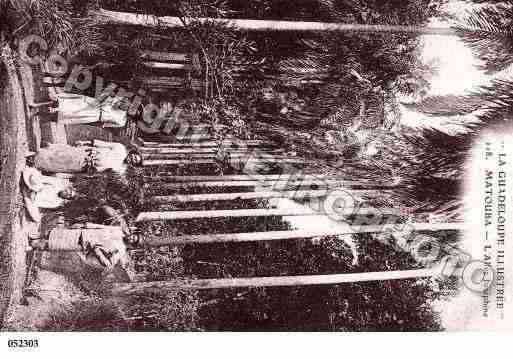 Ville de POINTEAPITRE Carte postale ancienne