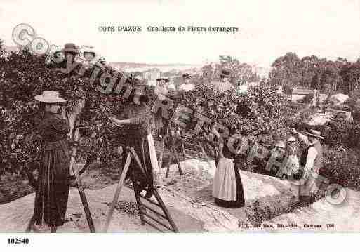 Ville de PROVENCE Carte postale ancienne Ville de PROVENCE Carte postale ancienne