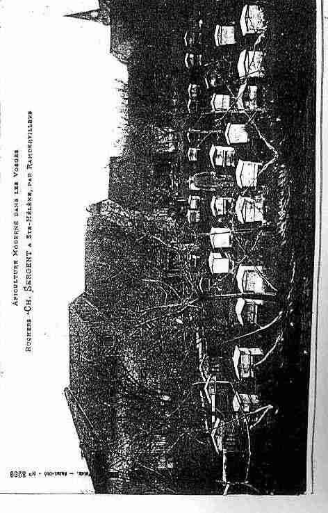 Ville de SAINTEHELENE Carte postale ancienne Ville de SAINTEHELENE Carte postale ancienne