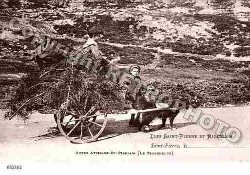 Ville de SAINTPIERREETMIQUELON Carte postale ancienne