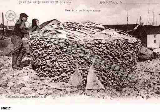 Ville de SAINTPIERREETMIQUELON Carte postale ancienne Ville de SAINTPIERREETMIQUELON Carte postale ancienne