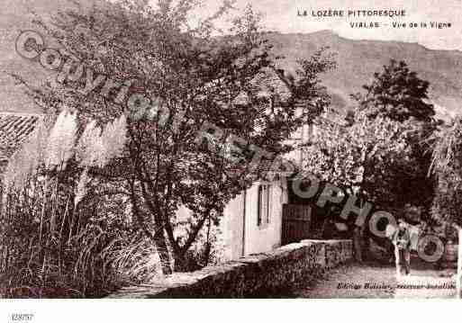 Ville de VIALAS Carte postale ancienne Ville de VIALAS Carte postale ancienne
