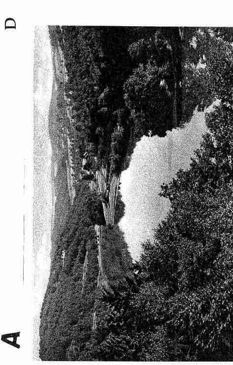 Ville de REICHSHOFF Carte postale ancienne Ville de REICHSHOFF Carte postale ancienne