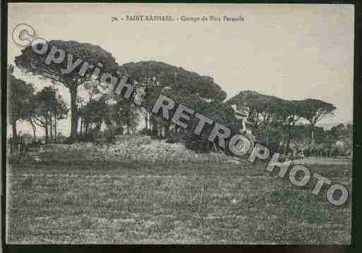 Ville de SAINTRAPHAEL Carte postale ancienne