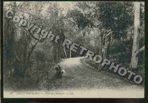 Ville de SAINTRAPHAEL Carte postale ancienne