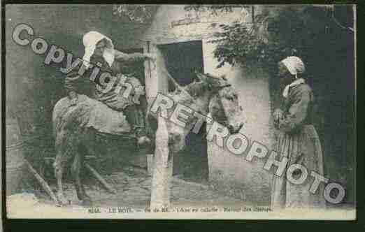 Ville de BOISPLAGEENRE(LE) Carte postale ancienne