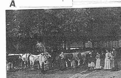 Ville de ALBESTROFF Carte postale ancienne
