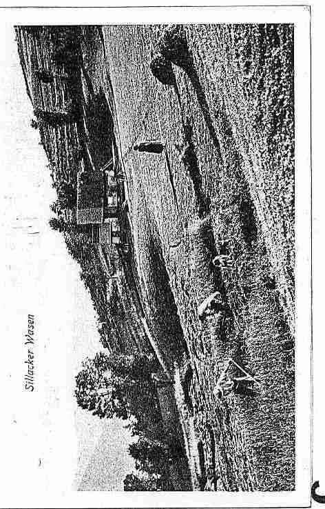 Ville de METZERAL Carte postale ancienne