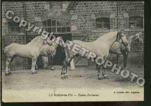 Ville de PINAUHARAS(LE) Carte postale ancienne