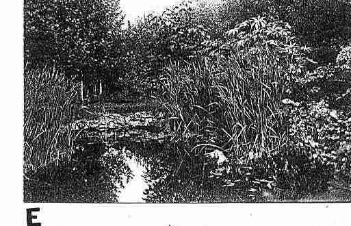Ville de DOMPAIRE Carte postale ancienne Ville de DOMPAIRE Carte postale ancienne