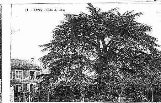 Ville de TORCY Carte postale ancienne