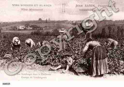 Ville de GAILLACTESSONNIERES, carte postale ancienne