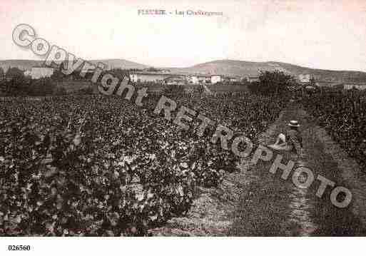 Ville de FLEURIE, carte postale ancienne