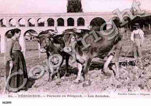 Ville de PERIGUEUX, carte postale ancienne