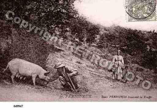 Ville de PERIGUEUX, carte postale ancienne