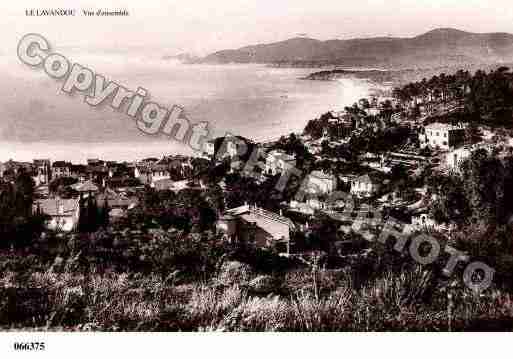 Ville de LAVANDOU(LE), carte postale ancienne