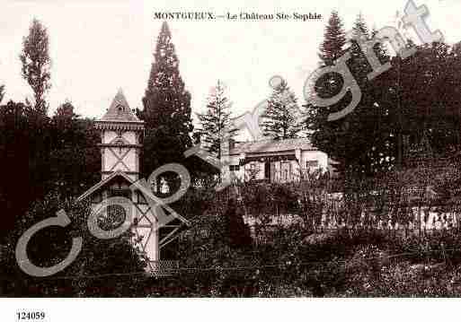 Ville de MONTGUEUX, carte postale ancienne