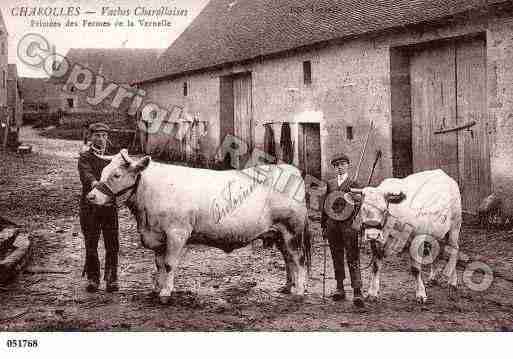 Ville de CHAROLLES, carte postale ancienne