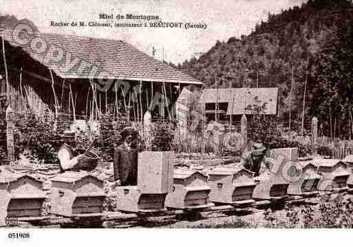 Ville de BEAUFORTSURDORON, carte postale ancienne