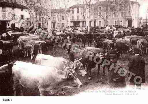 Ville de REVEL, carte postale ancienne