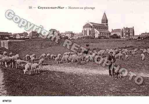 Ville de CAYEUXSURMER, carte postale ancienne