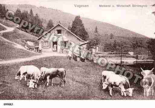 Ville de WASSERBOURG, carte postale ancienne