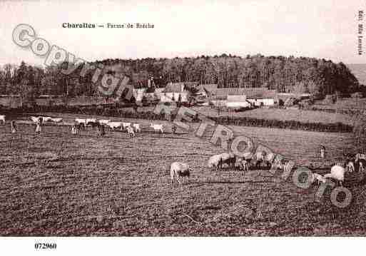 Ville de CHAROLLES, carte postale ancienne