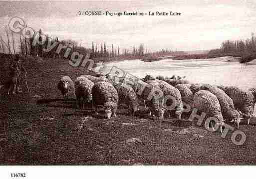 Ville de COSNESURLOIRE, carte postale ancienne