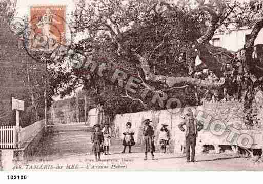 Ville de TAMARIS, carte postale ancienne
