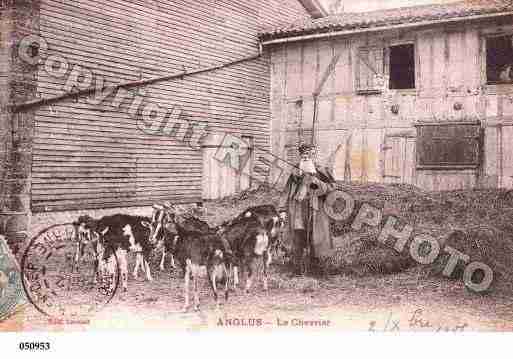 Ville de ANGLUS, carte postale ancienne