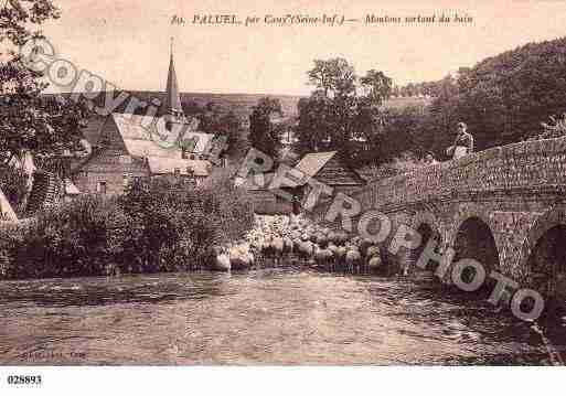 Ville de PALUEL, carte postale ancienne