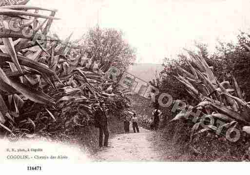 Ville de COGOLIN, carte postale ancienne