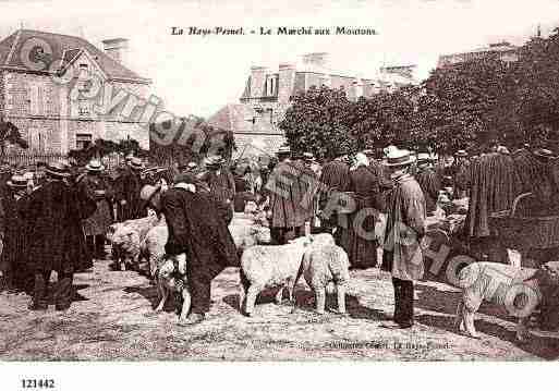 Ville de HAYEPESNEL(LA), carte postale ancienne