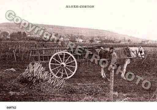 Ville de ALOXECORTON, carte postale ancienne