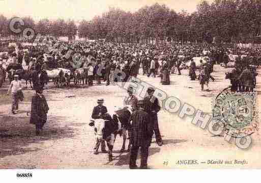 Ville de ANGERS, carte postale ancienne
