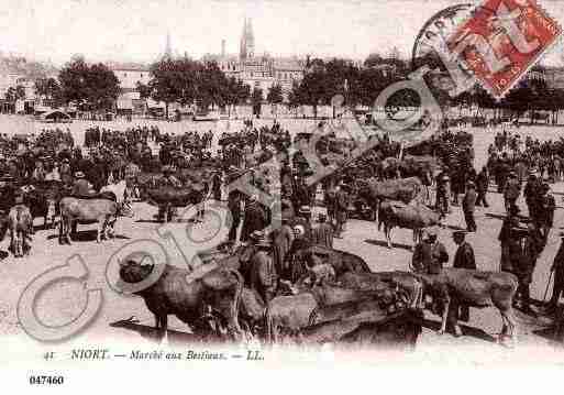 Ville de NIORT, carte postale ancienne