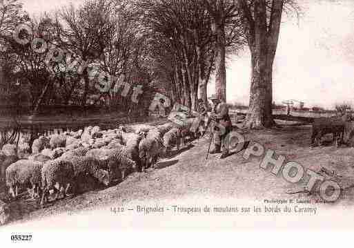 Ville de BRIGNOLES, carte postale ancienne