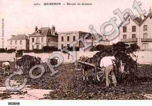Ville de QUIBERON, carte postale ancienne